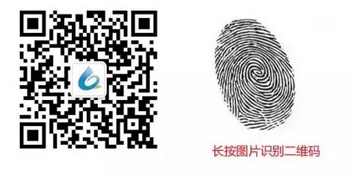 域名市场趋势_域名市场前景_域名趋势市场分析